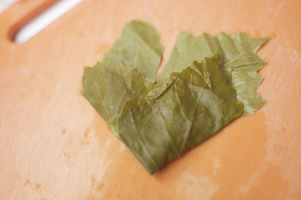 dolma3