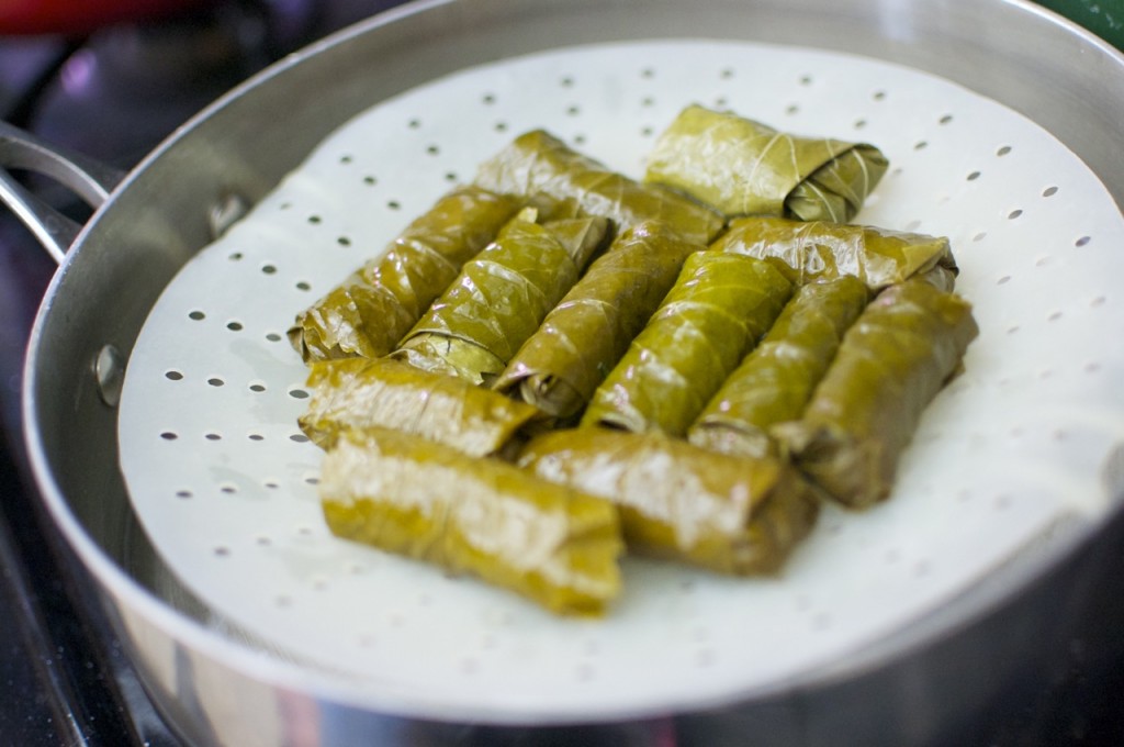 dolma6