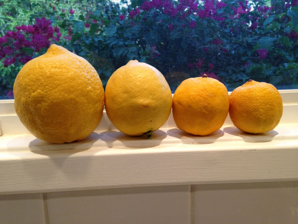 lemons