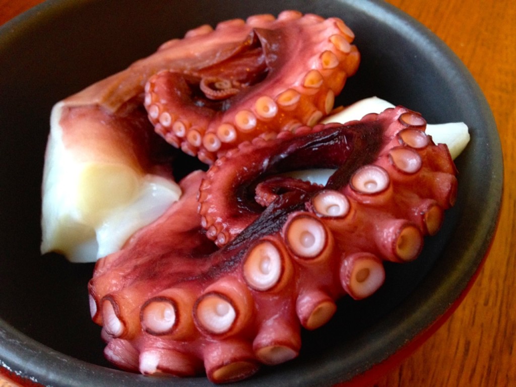 octopus